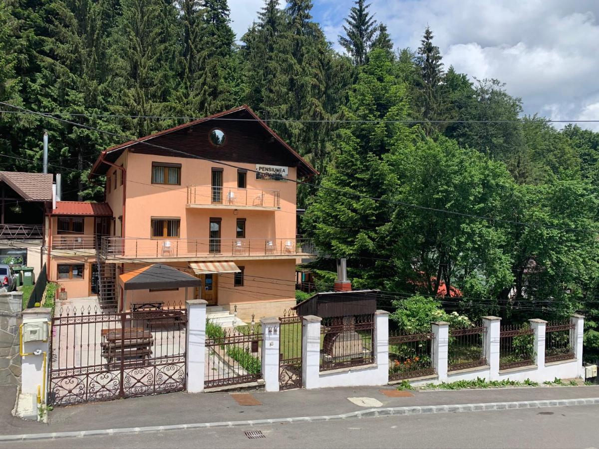Pensiunea Luminita Buşteni 外观 照片